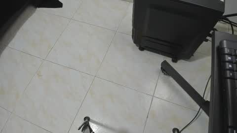 Snapshot of goldyht chatting on December 2025 12:54:01 PM goldyht online show from December 2025 12:54:01 PM