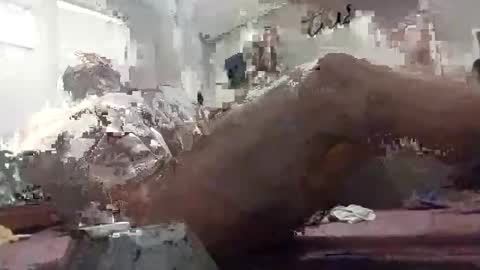 goodandplentygoods online show from December 2025 08:10:02 AM