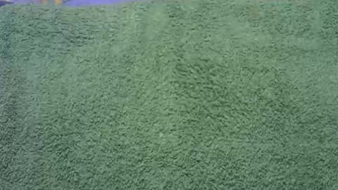 goodfishing online show from November 2025 12:01:02 AM