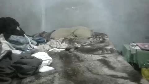 GorditoRicoJejeMX online show from September 2025 03:07:02 AM