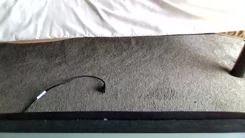 watch me stroke online show from April 2026 04:46:02 PM