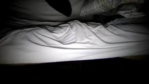 watch me stroke online show from May 2026 02:08:01 AM