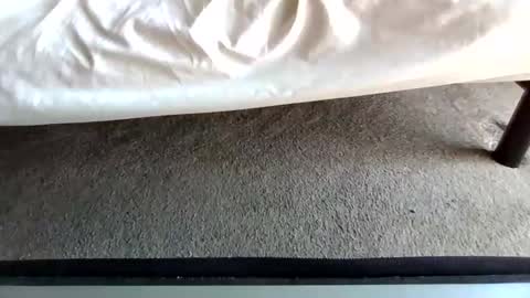 watch me stroke online show from May 2026 04:04:02 PM