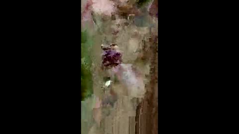 grabisz30 online show from May 2026 03:29:02 PM