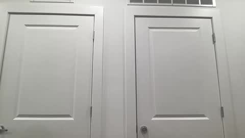 Snapshot of gracebailey1 chatting on February 2026 03:01:02 AM grace bailey online show from February 2026 03:01:02 AM