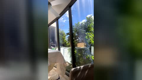 gracemeow online show from April 2026 03:26:01 AM