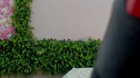 Snapshot of grandmother_milf chatting on March 2025 04:15:02 AM Mi Name is violeta online show from March 2025 04:15:02 AM