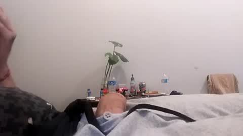 gravybaby333 online show from June 2026 12:49:01 PM