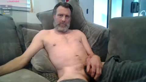 Gray lone wolf online show from February 2026 07:26:01 PM