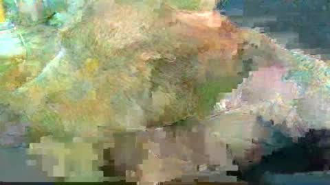 Snapshot of greatbiggs6969 chatting on January 2025 02:35:02 PM greatbiggs6969 online show from January 2025 02:35:02 PM