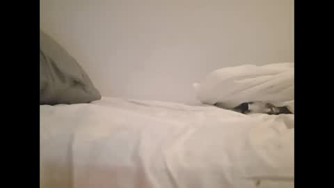 Snapshot of greekprince77 chatting on March 2026 12:56:01 PM greekprince77 online show from March 2026 12:56:01 PM