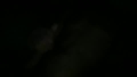 Sonny online show from October 2025 10:25:01 AM