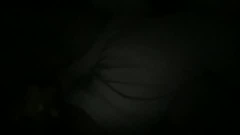 Sonny online show from February 2026 06:34:01 AM