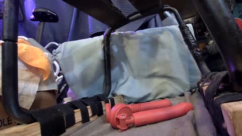 electrogee1 online show from February 2025 02:35:01 AM