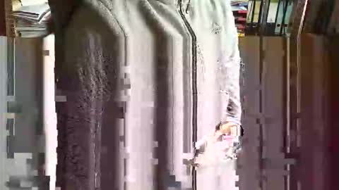 Snapshot of greyhounddog chatting on November 2025 09:42:02 AM greyhounddog online show from November 2025 09:42:02 AM