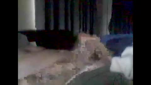 Snapshot of grittslappa chatting on February 2026 01:24:01 AM grittslappa online show from February 2026 01:24:01 AM