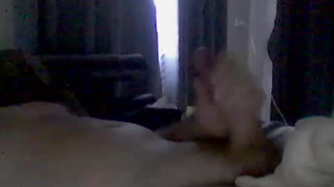 Snapshot of grittslappa chatting on June 2026 02:02:01 AM grittslappa online show from June 2026 02:02:01 AM