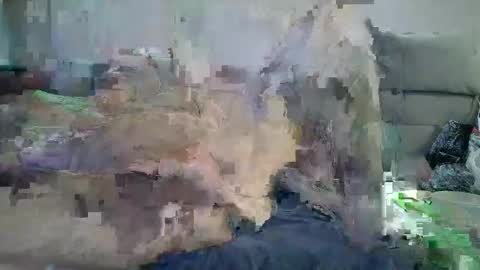 Snapshot of grossmanmeir chatting on October 2025 07:01:02 PM grossmanmeir online show from October 2025 07:01:02 PM