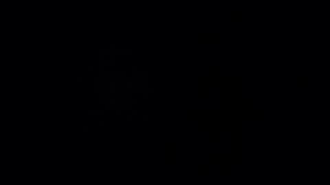 Gu online show from January 2025 02:07:01 PM