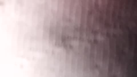 Gu online show from January 2025 03:26:02 AM