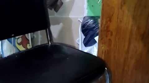 guillermo723 online show from May 2026 03:44:01 AM