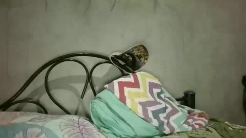 Snapshot of gus7894 chatting on March 2026 03:44:01 AM gus7894 online show from March 2026 03:44:01 AM