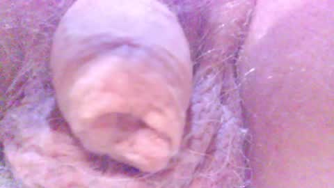 hagridthehorrible online show from February 2025 12:53:02 AM