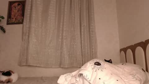 haidyhaven online show from May 2026 03:13:01 AM