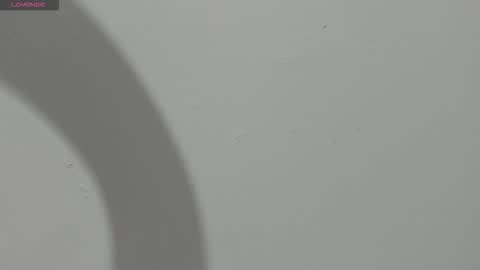 Snapshot of haileyduke chatting on March 2026 11:00:02 PM Hailey online show from March 2026 11:00:02 PM