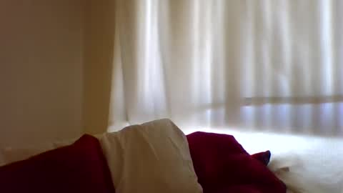 Snapshot of haileys123 chatting on February 2025 07:38:01 PM Hailey online show from February 2025 07:38:01 PM