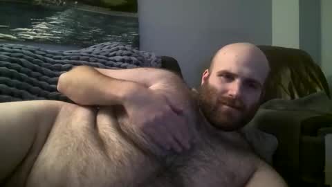 Snapshot of hairiestbear chatting on January 2025 07:41:01 AM Hairiest Bear online show from January 2025 07:41:01 AM