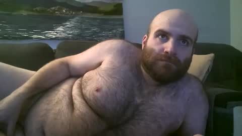 Snapshot of hairiestbear chatting on January 2025 03:59:02 AM Hairiest Bear online show from January 2025 03:59:02 AM
