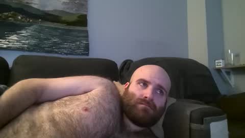 Snapshot of hairiestbear chatting on January 2025 04:54:01 AM Hairiest Bear online show from January 2025 04:54:01 AM