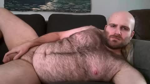 Snapshot of hairiestbear chatting on February 2025 04:02:01 PM Hairiest Bear online show from February 2025 04:02:01 PM