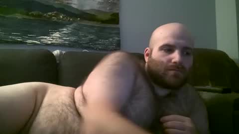 Snapshot of hairiestbear chatting on February 2025 07:37:02 AM Hairiest Bear online show from February 2025 07:37:02 AM