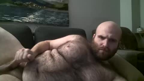 Snapshot of hairiestbear chatting on March 2025 06:28:02 AM Hairiest Bear online show from March 2025 06:28:02 AM