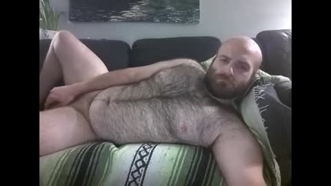 Hairiest Bear online show from May 2026 08:30:01 AM
