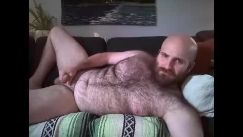Hairiest Bear online show from May 2026 07:22:01 PM