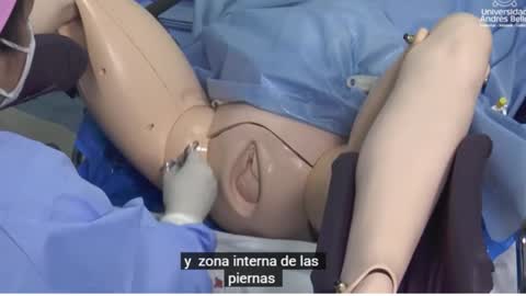 SALMA  online show from February 2026 03:49:02 PM