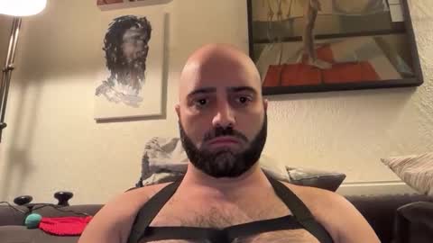 Snapshot of hairyleatherguy chatting on November 2025 09:28:01 PM Hairy Guy online show from November 2025 09:28:01 PM