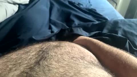 hairynicedaddy online show from May 2026 03:53:02 PM