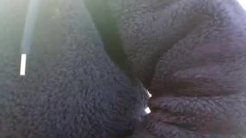 hairypussyxl online show from January 2025 05:33:02 AM