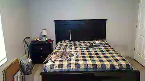 hammerthatthang73 online show from May 2026 11:28:02 AM