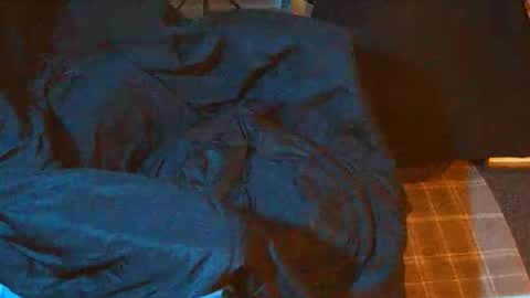 handdsolo online show from February 2026 01:27:02 PM