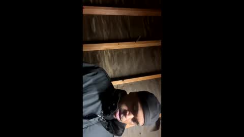 handsomeda1 online show from January 2025 06:31:02 AM