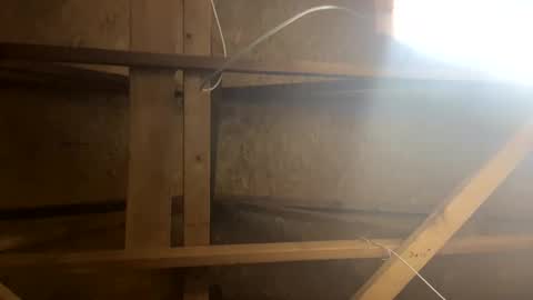 handsomeda1 online show from January 2025 10:29:02 AM