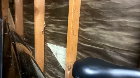 handsomeda1 online show from February 2025 02:47:02 AM