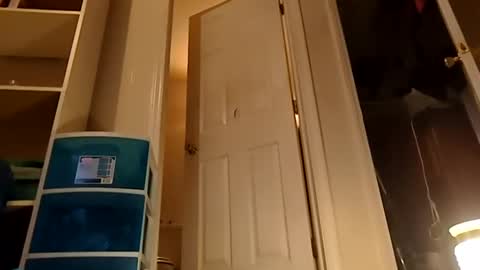 Handydick7373 online show from December 2024 01:49:01 AM