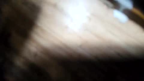 handymanglen online show from February 2026 11:01:01 PM
