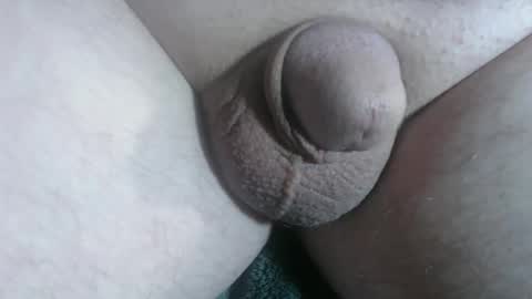 Handyman online show from January 2026 02:19:01 PM